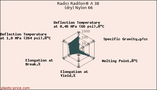 Radici Radilon® A 38 (dry) Nylon 66