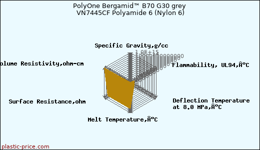 PolyOne Bergamid™ B70 G30 grey VN7445CF Polyamide 6 (Nylon 6)