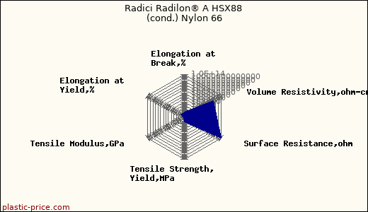 Radici Radilon® A HSX88 (cond.) Nylon 66