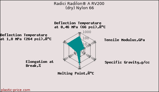 Radici Radilon® A RV200 (dry) Nylon 66