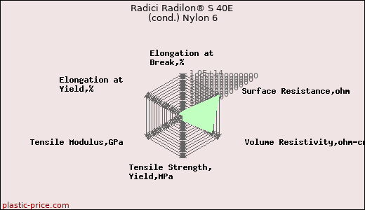 Radici Radilon® S 40E (cond.) Nylon 6