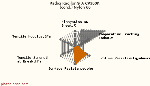 Radici Radilon® A CP300K (cond.) Nylon 66