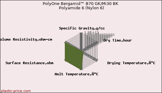 PolyOne Bergamid™ B70 GK/Mi30 BK Polyamide 6 (Nylon 6)