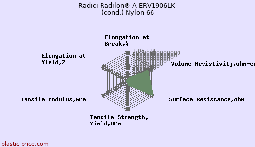 Radici Radilon® A ERV1906LK (cond.) Nylon 66