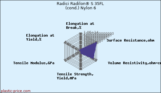 Radici Radilon® S 35FL (cond.) Nylon 6