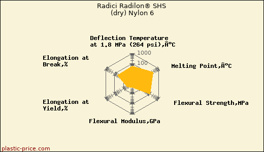 Radici Radilon® SHS (dry) Nylon 6