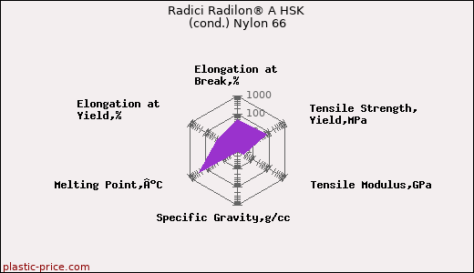 Radici Radilon® A HSK (cond.) Nylon 66