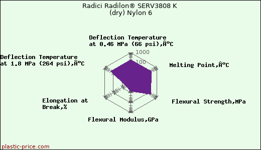 Radici Radilon® SERV3808 K (dry) Nylon 6