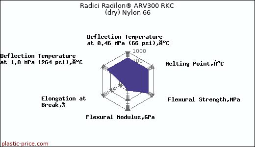 Radici Radilon® ARV300 RKC (dry) Nylon 66