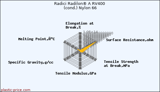 Radici Radilon® A RV400 (cond.) Nylon 66