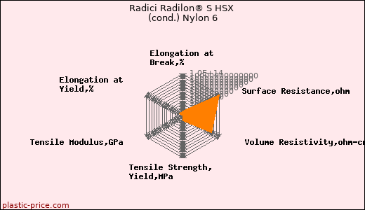 Radici Radilon® S HSX (cond.) Nylon 6