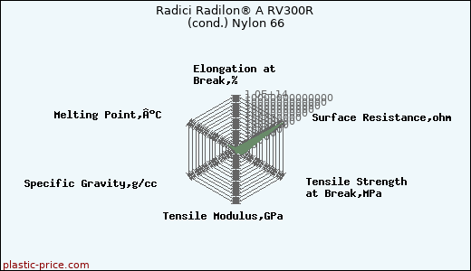 Radici Radilon® A RV300R (cond.) Nylon 66