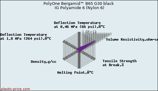 PolyOne Bergamid™ B65 G30 black IG Polyamide 6 (Nylon 6)
