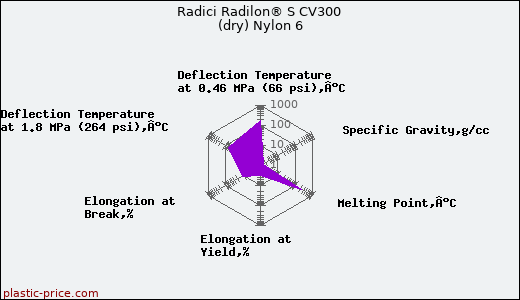 Radici Radilon® S CV300 (dry) Nylon 6