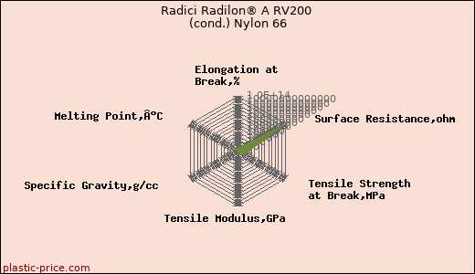 Radici Radilon® A RV200 (cond.) Nylon 66