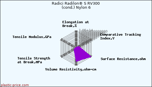 Radici Radilon® S RV300 (cond.) Nylon 6