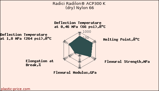 Radici Radilon® ACP300 K (dry) Nylon 66
