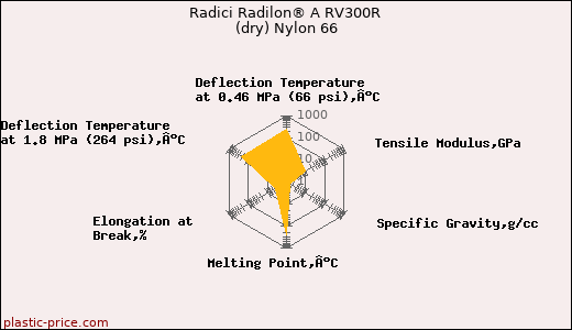 Radici Radilon® A RV300R (dry) Nylon 66