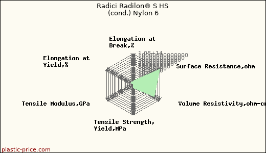 Radici Radilon® S HS (cond.) Nylon 6