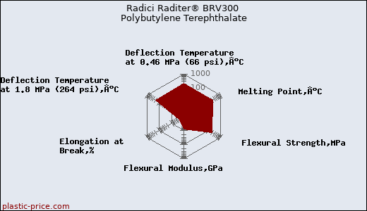 Radici Raditer® BRV300 Polybutylene Terephthalate