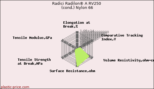 Radici Radilon® A RV250 (cond.) Nylon 66