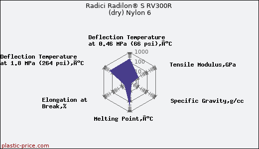 Radici Radilon® S RV300R (dry) Nylon 6