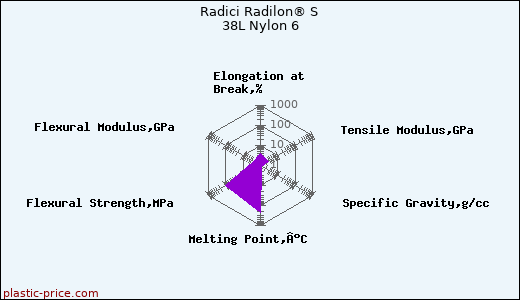 Radici Radilon® S 38L Nylon 6
