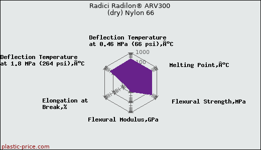 Radici Radilon® ARV300 (dry) Nylon 66