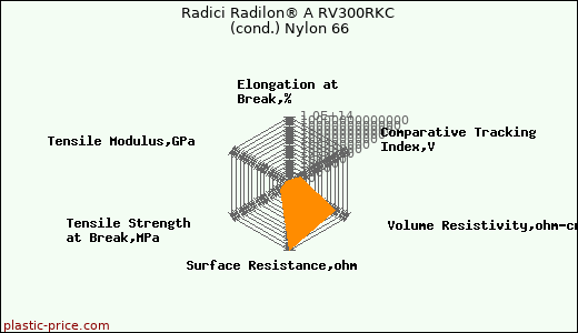 Radici Radilon® A RV300RKC (cond.) Nylon 66
