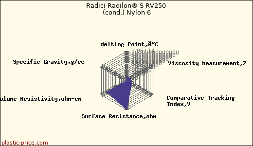Radici Radilon® S RV250 (cond.) Nylon 6