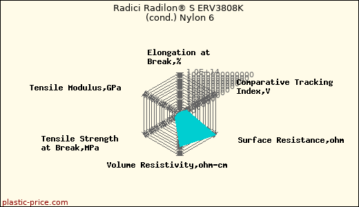 Radici Radilon® S ERV3808K (cond.) Nylon 6