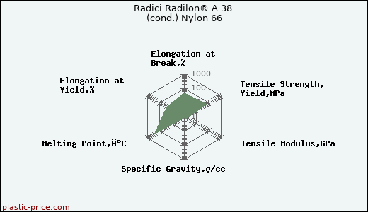 Radici Radilon® A 38 (cond.) Nylon 66