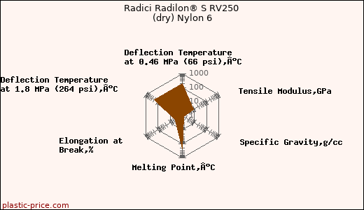 Radici Radilon® S RV250 (dry) Nylon 6